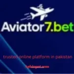 Aviator 7 Bet Game