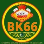 BK66 Game