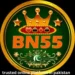 BN55 Game