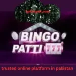 Bingo Patti Game