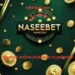 NASEEBET Game