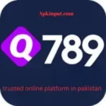 Q789 Game